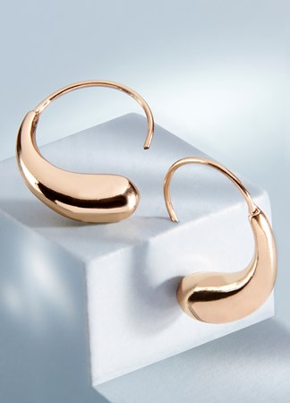 Dolphin Drop Earring